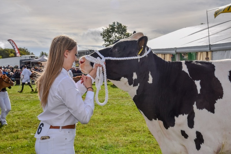 Other image for Thousands enjoy ‘celebration of farming’ at premier show